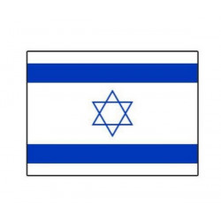 Lot 10 drapeaux Israël 9.5x16cm Déco festive 14520IL