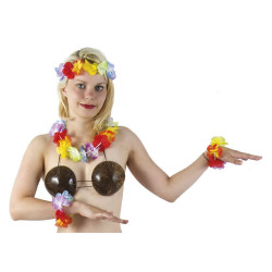 Soutien-gorge hawaïen noix de coco adulte Accessoires de fête 57002