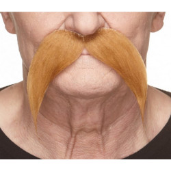 Moustache blonde de gaulois Accessoires de fête 26430MI