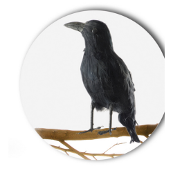 Corbeau à plumes noires 22 cm Déco festive 08080