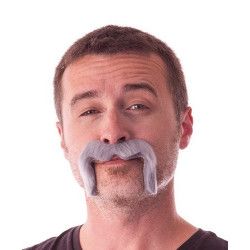 Moustache Watson grise Accessoires de fête 862204G